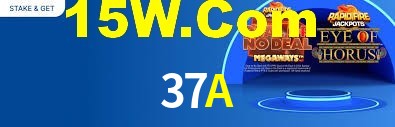 Premium Interface 37A